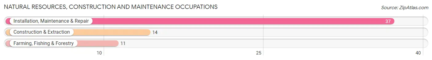 Natural Resources, Construction and Maintenance Occupations in Zip Code 29929