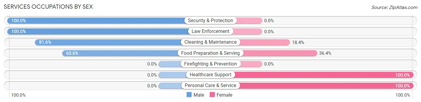 Services Occupations by Sex in Zip Code 29929