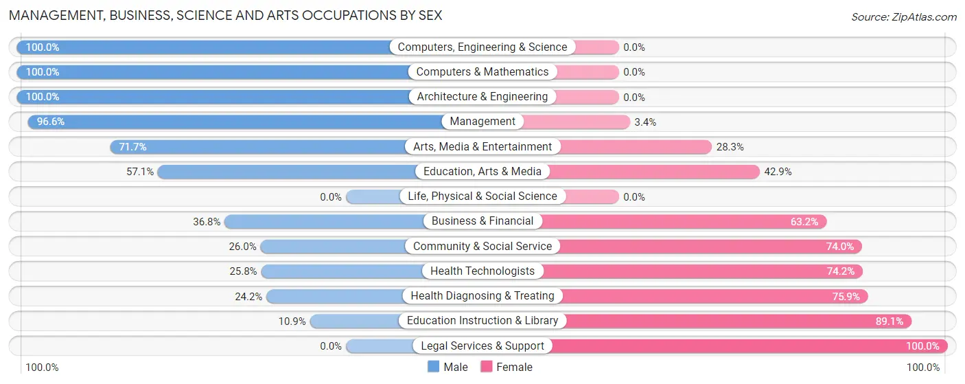 Management, Business, Science and Arts Occupations by Sex in Zip Code 29936