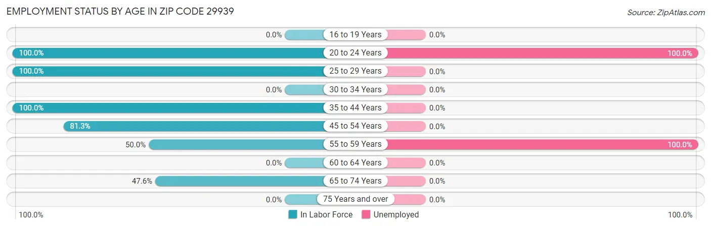 Employment Status by Age in Zip Code 29939