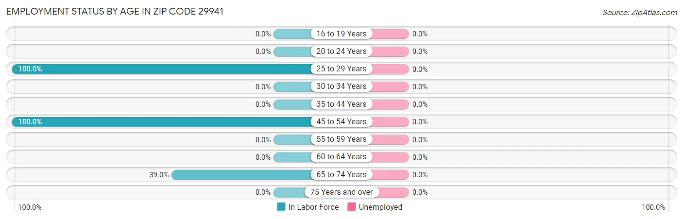 Employment Status by Age in Zip Code 29941