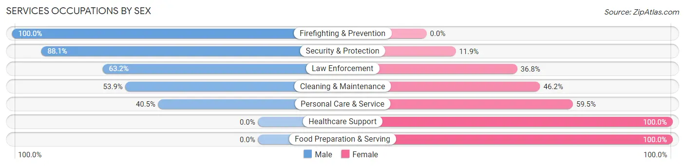 Services Occupations by Sex in Zip Code 29944