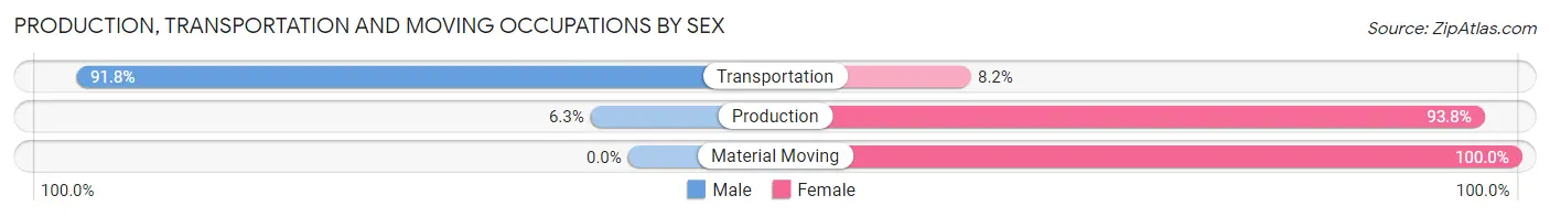 Production, Transportation and Moving Occupations by Sex in Zip Code 30002