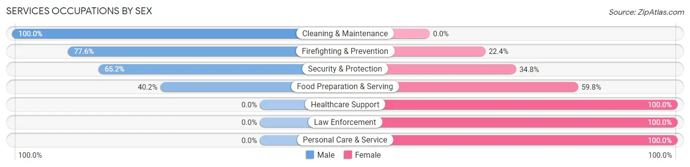 Services Occupations by Sex in Zip Code 30002