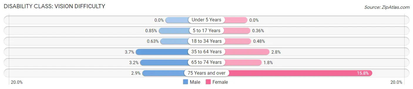 Disability in Zip Code 30011: <span>Vision Difficulty</span>