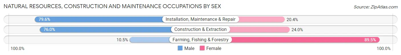 Natural Resources, Construction and Maintenance Occupations by Sex in Zip Code 30014