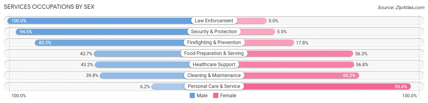Services Occupations by Sex in Zip Code 30019