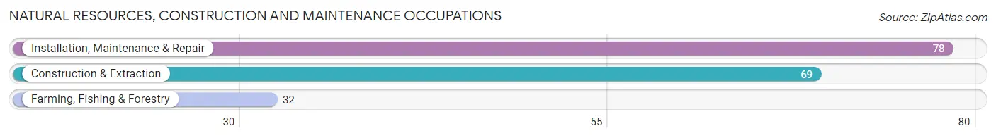 Natural Resources, Construction and Maintenance Occupations in Zip Code 30030