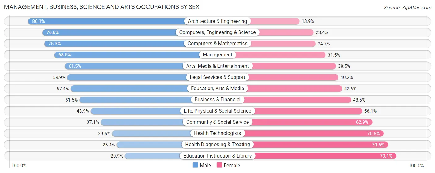 Management, Business, Science and Arts Occupations by Sex in Zip Code 30040