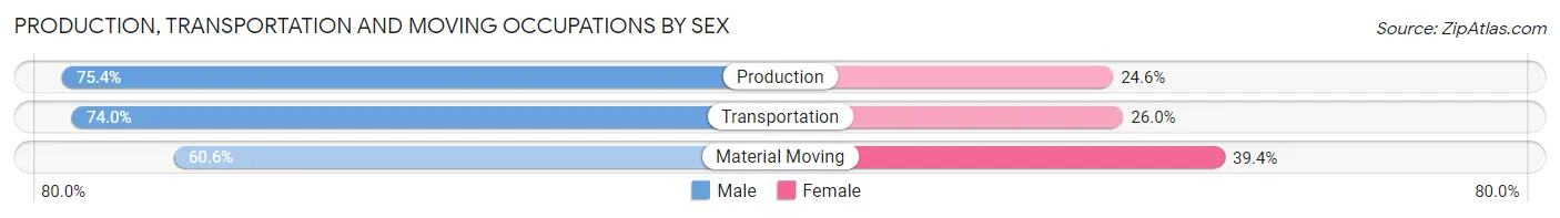 Production, Transportation and Moving Occupations by Sex in Zip Code 30040