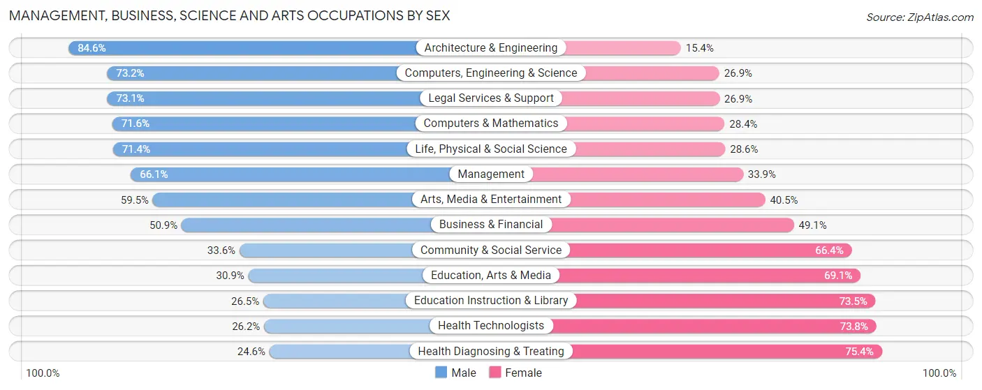 Management, Business, Science and Arts Occupations by Sex in Zip Code 30041