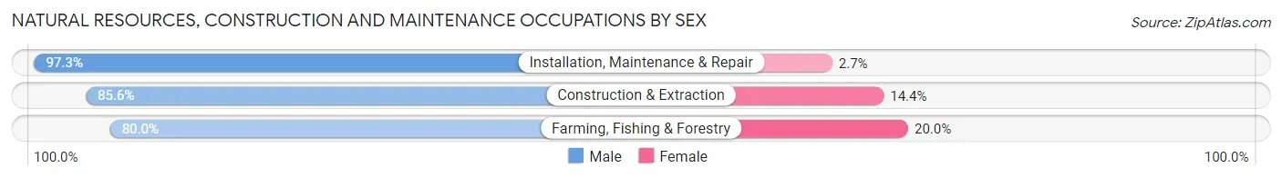 Natural Resources, Construction and Maintenance Occupations by Sex in Zip Code 30041