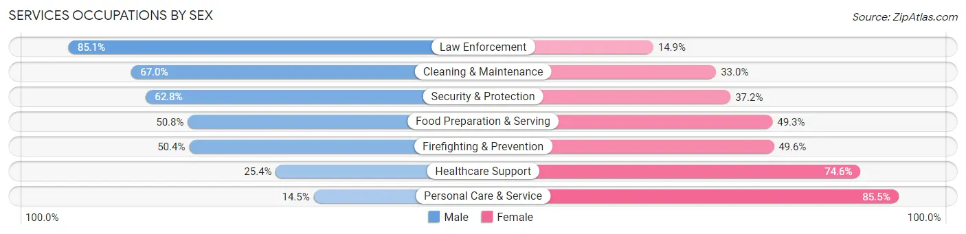 Services Occupations by Sex in Zip Code 30043