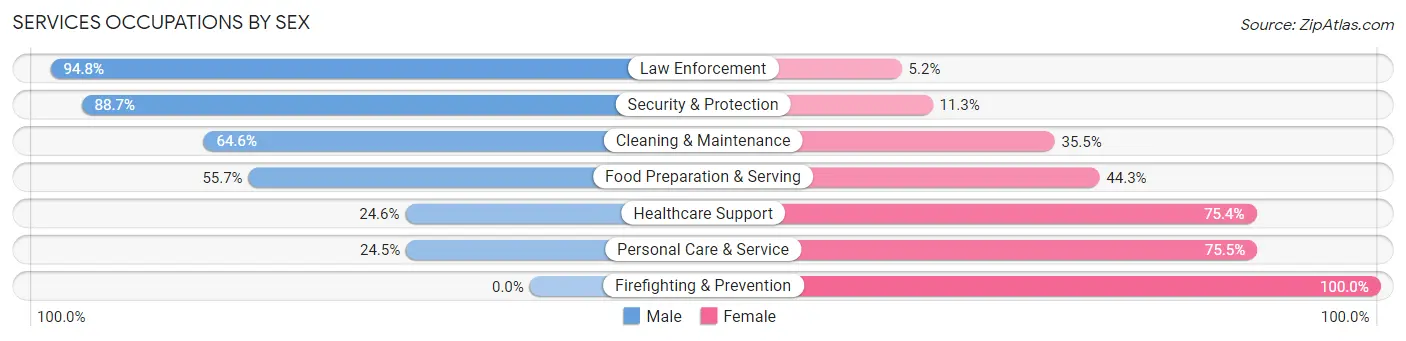 Services Occupations by Sex in Zip Code 30047