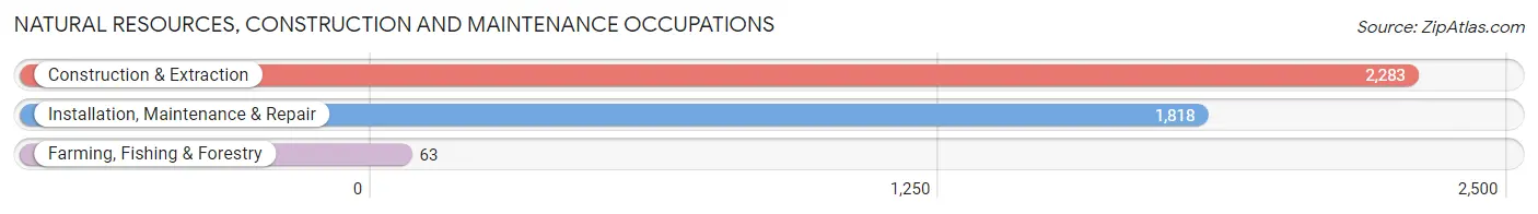 Natural Resources, Construction and Maintenance Occupations in Zip Code 30052