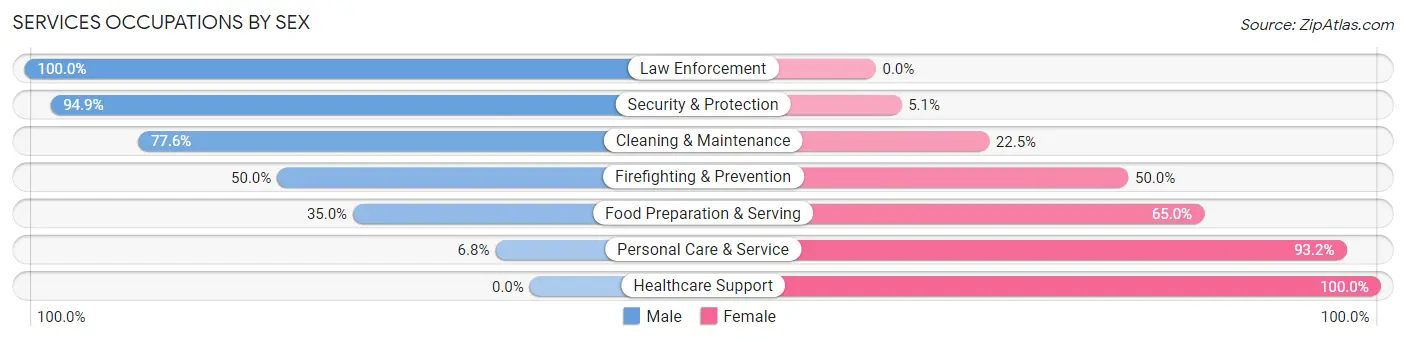 Services Occupations by Sex in Zip Code 30054