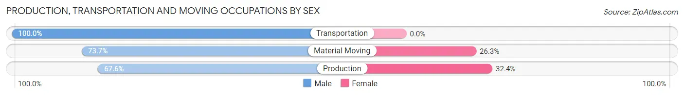 Production, Transportation and Moving Occupations by Sex in Zip Code 30055