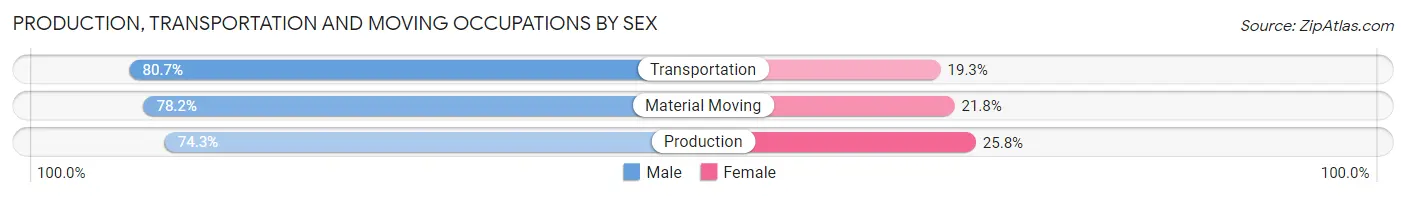 Production, Transportation and Moving Occupations by Sex in Zip Code 30058