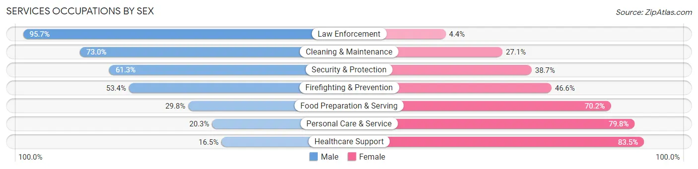 Services Occupations by Sex in Zip Code 30058