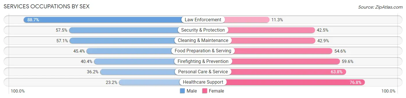 Services Occupations by Sex in Zip Code 30060