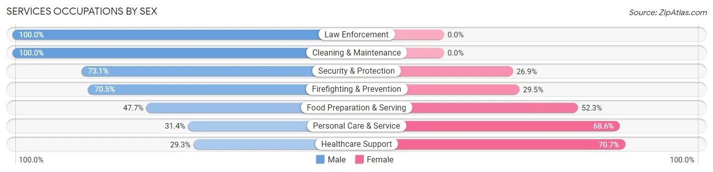 Services Occupations by Sex in Zip Code 30068