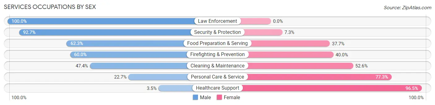 Services Occupations by Sex in Zip Code 30076