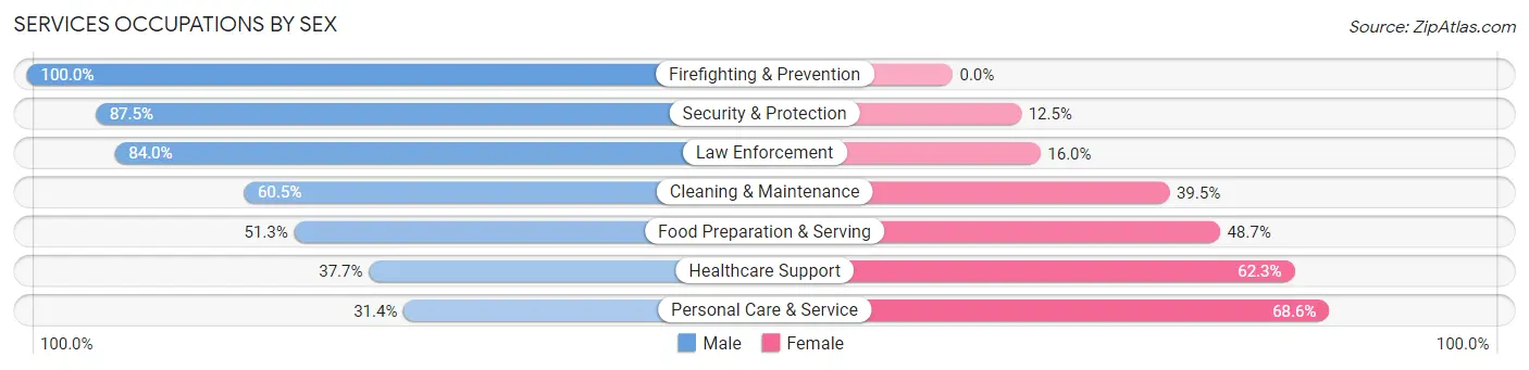 Services Occupations by Sex in Zip Code 30078