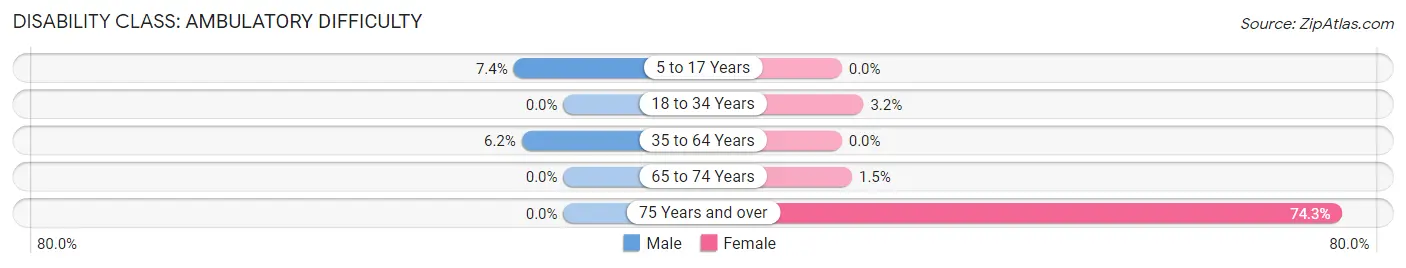 Disability in Zip Code 30079: <span>Ambulatory Difficulty</span>