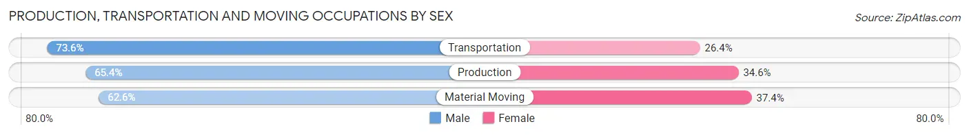 Production, Transportation and Moving Occupations by Sex in Zip Code 30080