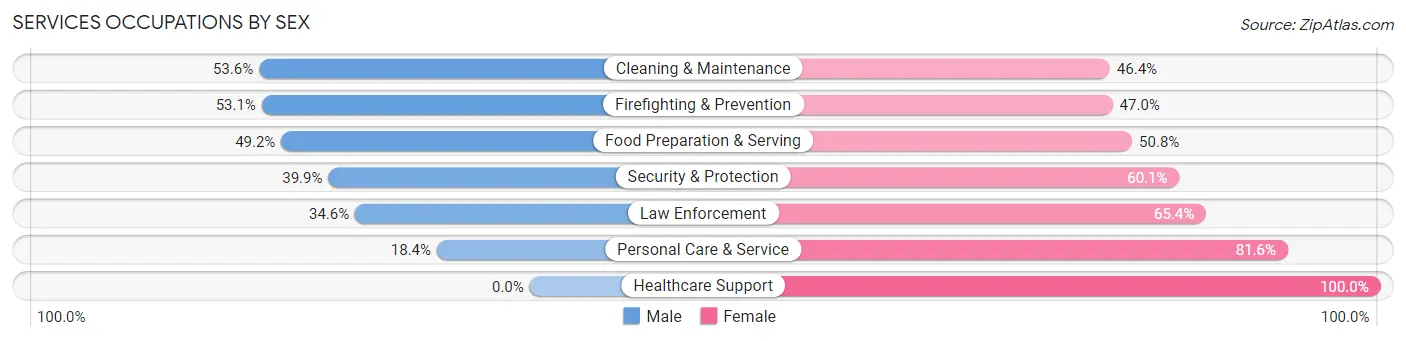 Services Occupations by Sex in Zip Code 30080