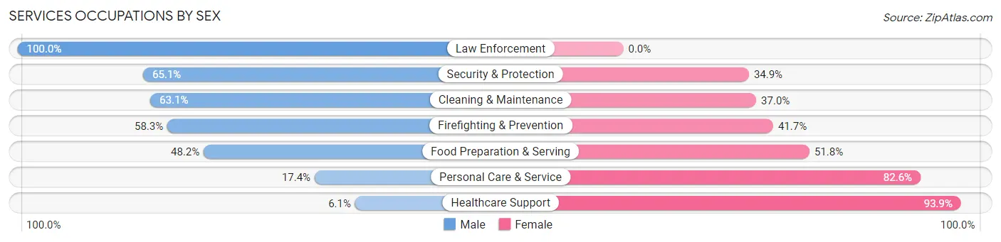 Services Occupations by Sex in Zip Code 30084