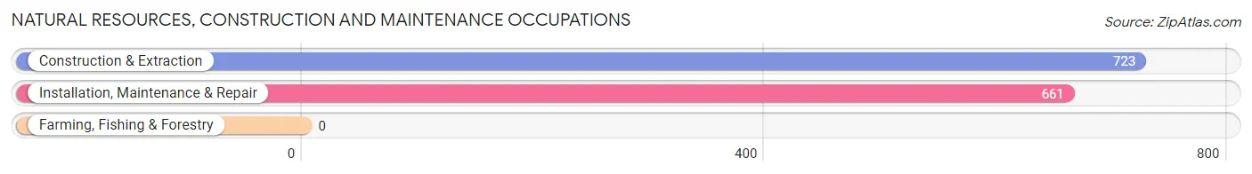 Natural Resources, Construction and Maintenance Occupations in Zip Code 30092