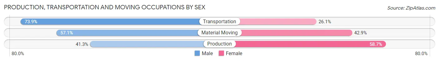 Production, Transportation and Moving Occupations by Sex in Zip Code 30096