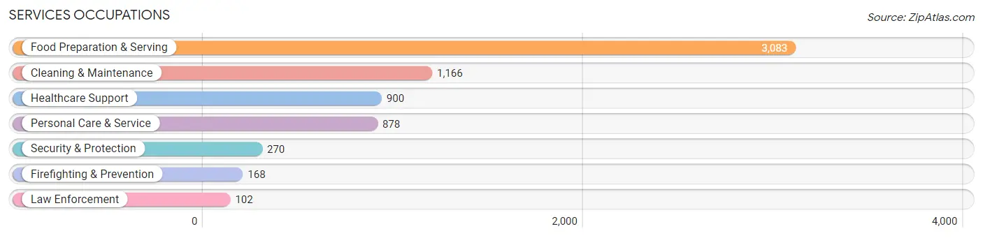 Services Occupations in Zip Code 30096