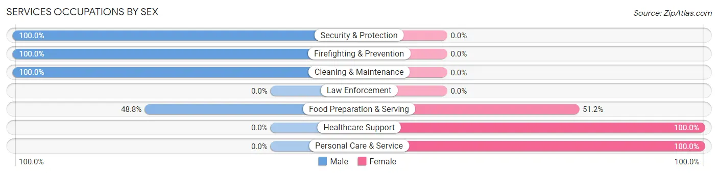 Services Occupations by Sex in Zip Code 30104