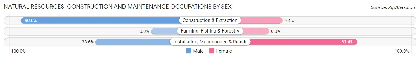 Natural Resources, Construction and Maintenance Occupations by Sex in Zip Code 30105