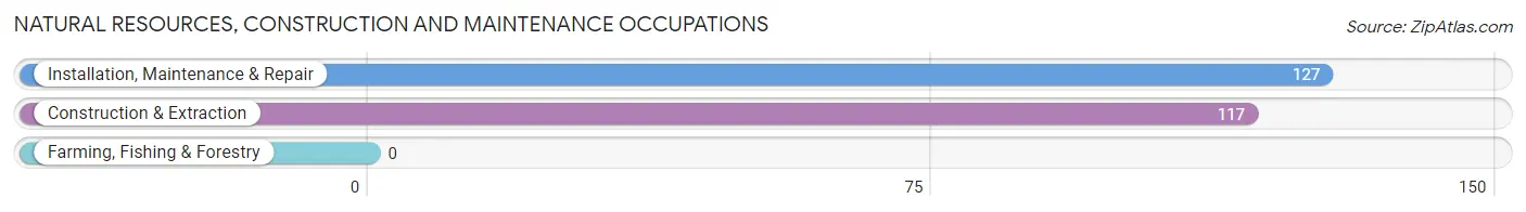 Natural Resources, Construction and Maintenance Occupations in Zip Code 30105