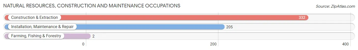 Natural Resources, Construction and Maintenance Occupations in Zip Code 30113