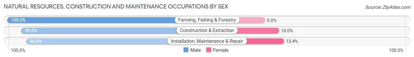 Natural Resources, Construction and Maintenance Occupations by Sex in Zip Code 30132