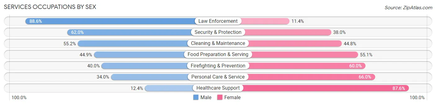 Services Occupations by Sex in Zip Code 30134