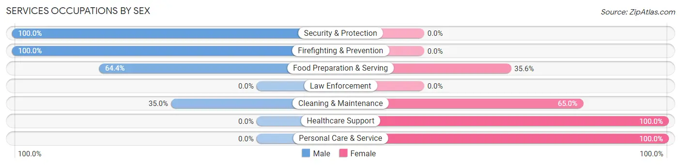 Services Occupations by Sex in Zip Code 30137