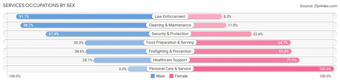 Services Occupations by Sex in Zip Code 30141