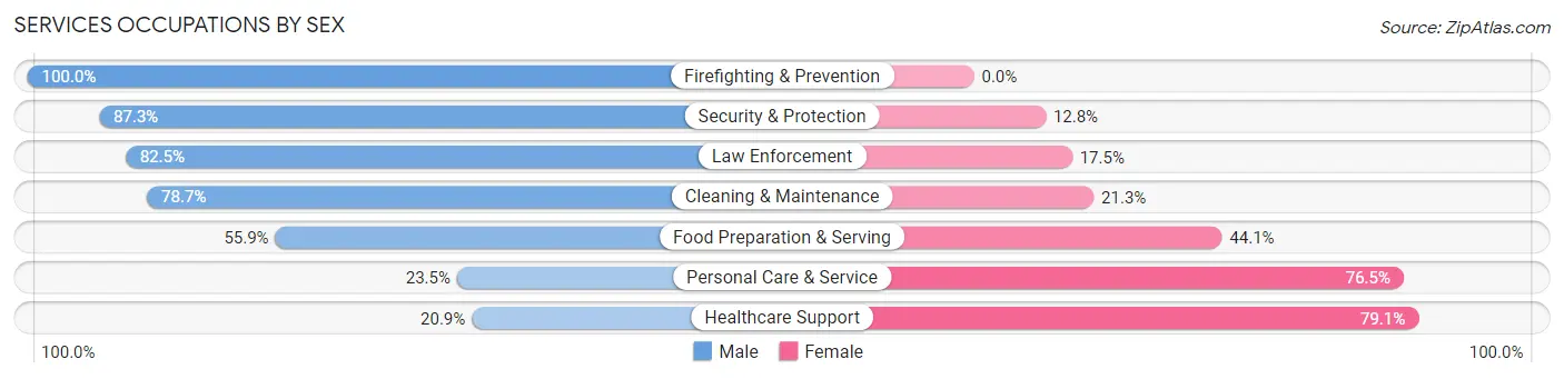 Services Occupations by Sex in Zip Code 30157