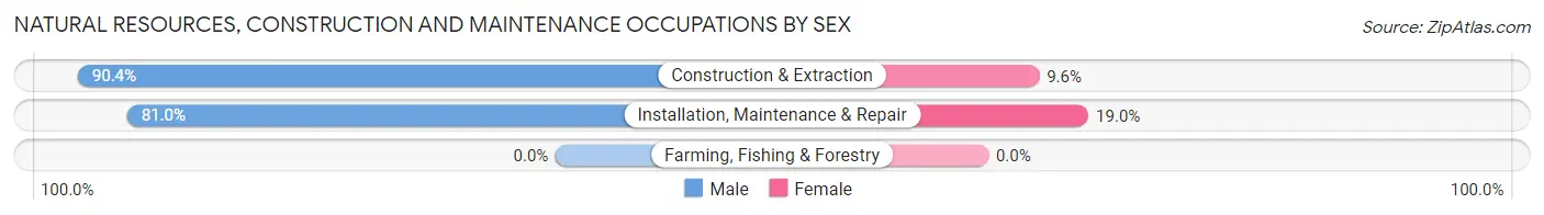 Natural Resources, Construction and Maintenance Occupations by Sex in Zip Code 30168
