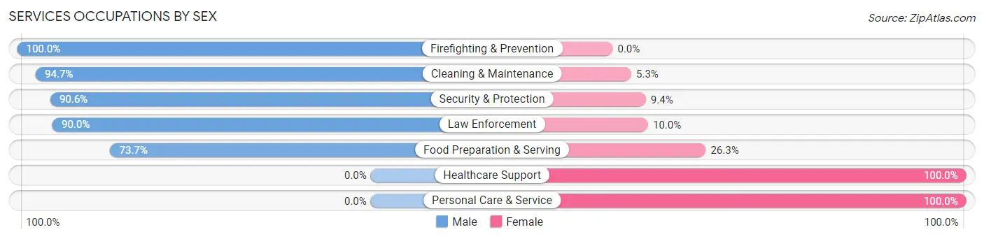Services Occupations by Sex in Zip Code 30170