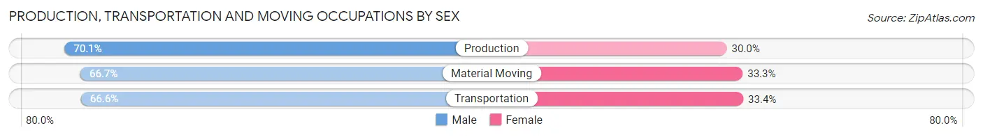 Production, Transportation and Moving Occupations by Sex in Zip Code 30179