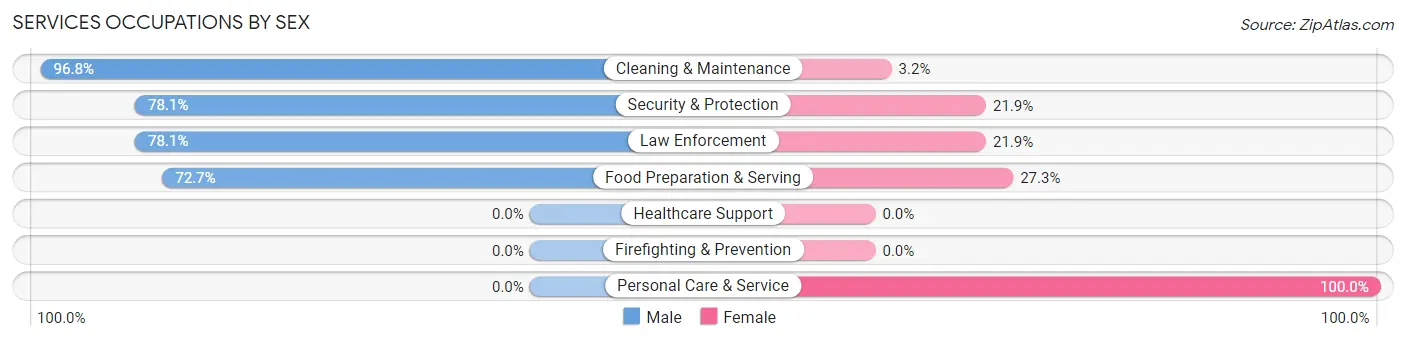 Services Occupations by Sex in Zip Code 30182