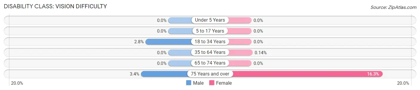 Disability in Zip Code 30206: <span>Vision Difficulty</span>