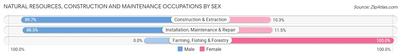 Natural Resources, Construction and Maintenance Occupations by Sex in Zip Code 30215