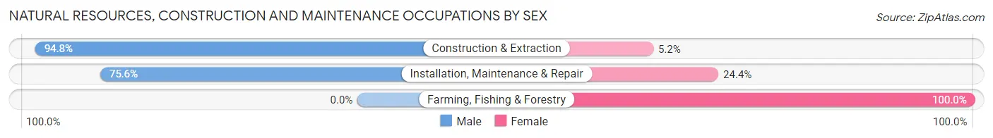 Natural Resources, Construction and Maintenance Occupations by Sex in Zip Code 30228
